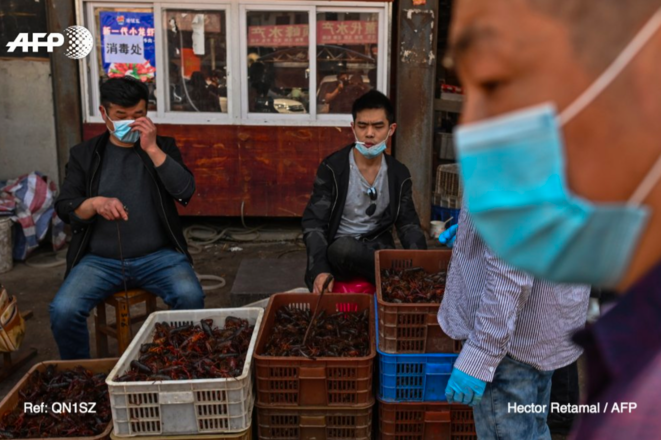 Corona Chroniques, #Jour32