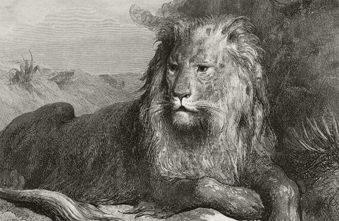 Le sans-dents, le docteur et d’autres, en société avec Jupiter