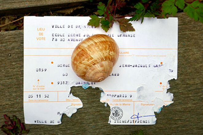 escargot