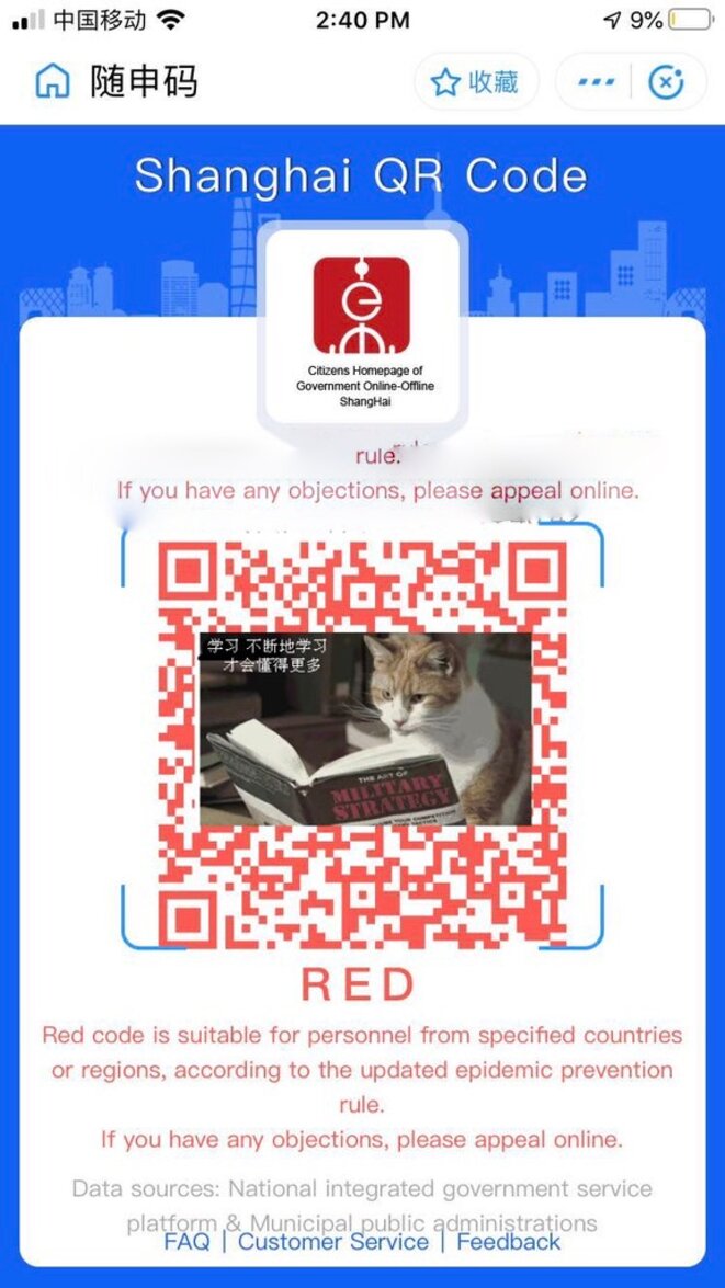 8omagbtjqx-qfojho7vkiw-thumb-1138