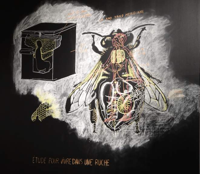 Etude pour vivre dans une ruche (détail), dessin mural de Abraham Poincheval à la craie de couleur, exposition l’Abeille blanche, Le Parvis/Musée de l’Invisible, Ibos, janvier 2020 (Photo Alain Alquier, détail). Etude pour vivre dans une ruche (détail), dessin mural de Abraham Poincheval à la craie de couleur, exposition l’Abeille blanche, Le Parvis/Musée de l’Invisible, Ibos, janvier 2020 (Photo Alain Alquier, détail).