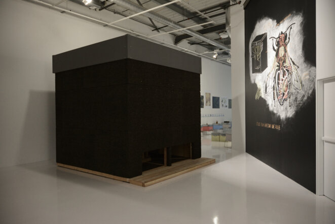 Vue de l’exposition L’Abeille blanche avec le dessin préparatoire de Abraham Poincheval (à droite) et la ruche polarisée de Olivier Raud.(Photo Alain Alquier). Vue de l’exposition L’Abeille blanche avec le dessin préparatoire de Abraham Poincheval (à droite) et la ruche polarisée de Olivier Raud.(Photo Alain Alquier).