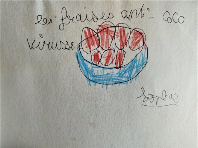 fraises-coco-virus
