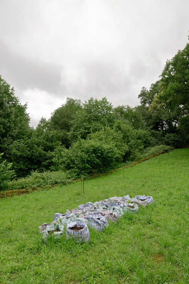 Lois Weinberger, Portable Garden, 1994. Œuvre installée dans la commune de La Villedieu. Collection du Centre national des arts plastiques. © Lois Weinberger / Cnap / Photo : Aurélien Mole Lois Weinberger, Portable Garden, 1994. Œuvre installée dans la commune de La Villedieu. Collection du Centre national des arts plastiques. © Lois Weinberger / Cnap / Photo : Aurélien Mole