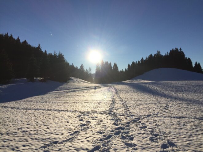 findevie