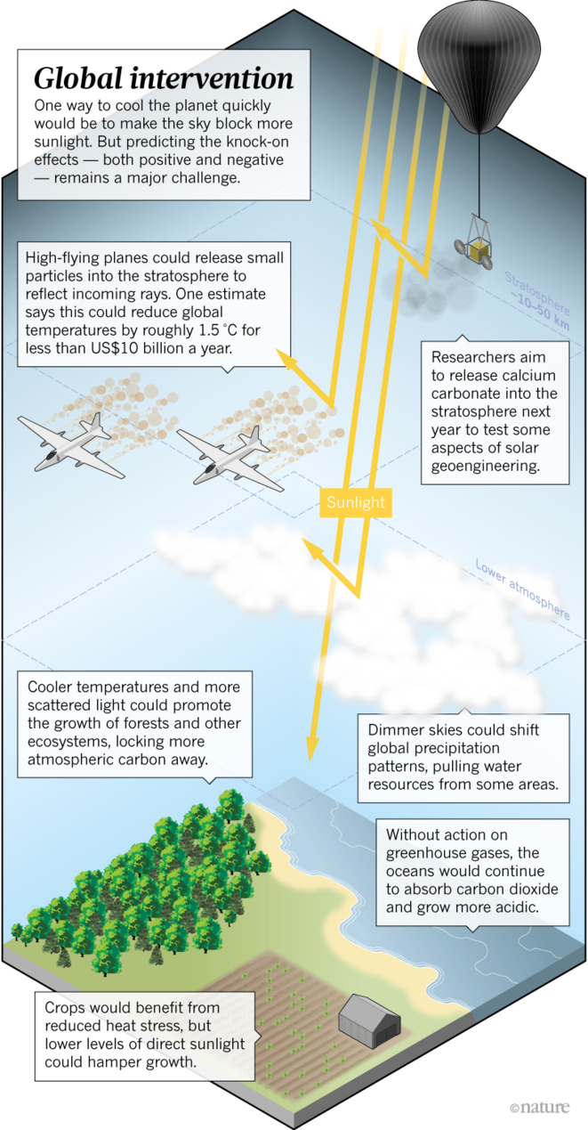 scopex plan © Paul Jackman / Nature scopex plan © Paul Jackman / Nature