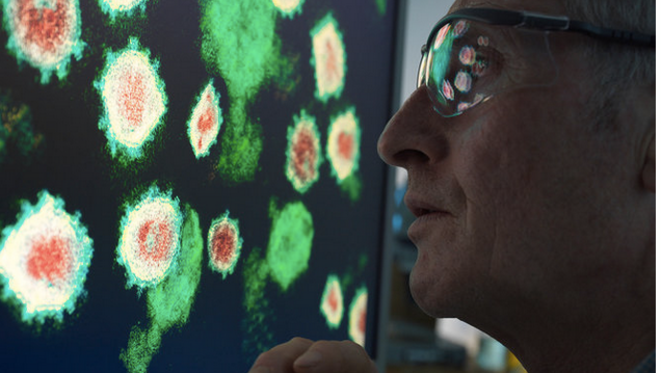 Un scientifique travaillant sur un virus dans un laboratoire. © AFP Un scientifique travaillant sur un virus dans un laboratoire. © AFP