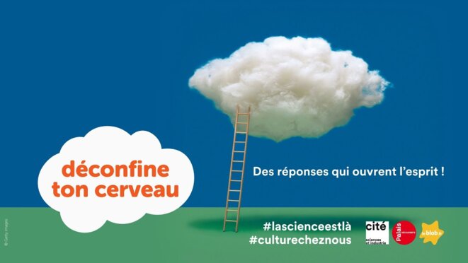 Pouvoir se déconfiner le cerveau, c'est très important