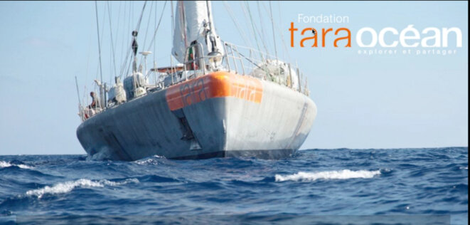 #Bateaux d'exception - Tara Océan