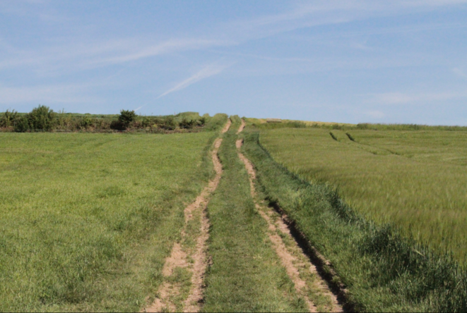 Chemin comme tant d'autres autour de chez moi. Chemin comme tant d'autres autour de chez moi.