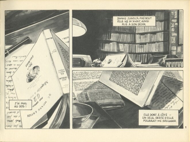 Dessous troublants, édit° Futuropolis, 1986 © Jeanne Puchol Dessous troublants, édit° Futuropolis, 1986 © Jeanne Puchol