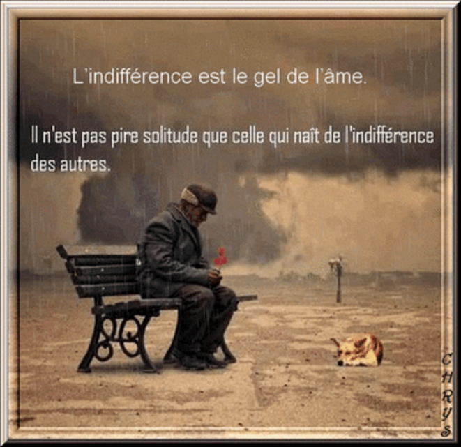 Non à l'indifférence !