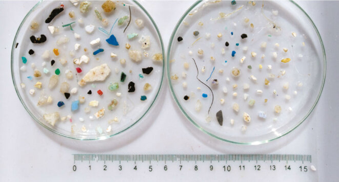 Microplastiques © Fondation Tara Océan Microplastiques © Fondation Tara Océan