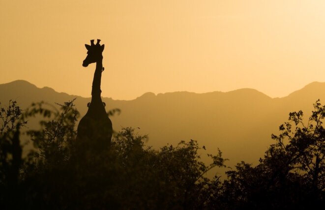 emile-ouosso-tourisme-environnement-afrique