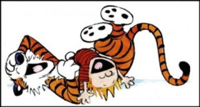 tigre-hilare