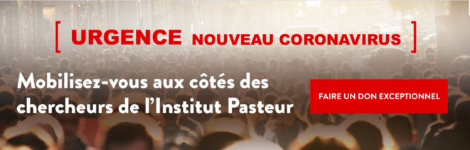 Site de l'Institut Pasteur. © DR Site de l'Institut Pasteur. © DR