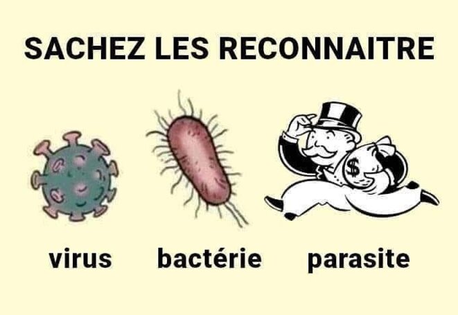 virus-bacte-rie-parasite