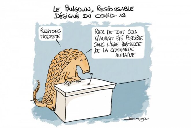 Ce virus est peut-être un film grandeur nature.