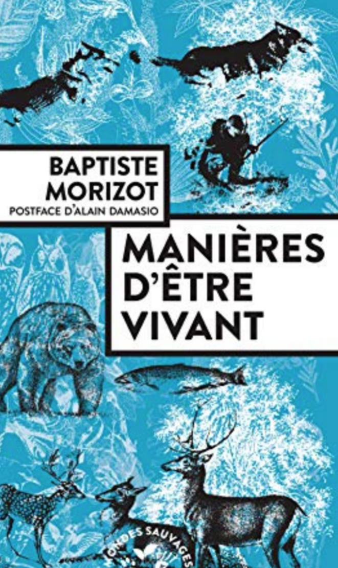 Que peut la littérature par temps d’épidémie? capture-d-e-cran-2020-05-23-a-21-43-29
