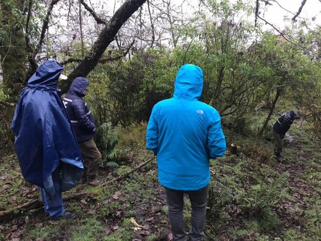 Ravin où le cadavre de Luis Espinoza a été trouvé © Telam Ravin où le cadavre de Luis Espinoza a été trouvé © Telam