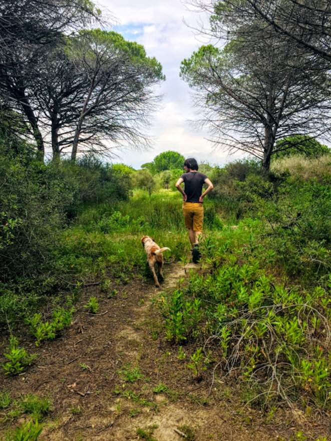 Le coeur de la forêt