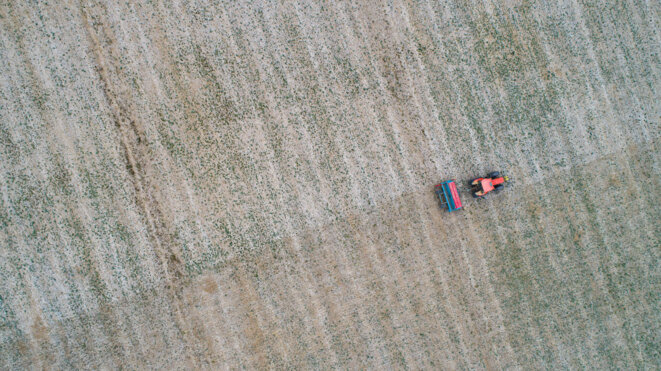 Grandes cultures à Courances (91) : une nouvelle façon de produire | Bruno Saillet, ingénieur agricole, développe une agriculture biologique climatique, économe et positive qui alterne culture du blé et du colza, favorisant le développement du trèfle qui permet de limiter l’érosion et nourrit les brebis. Cet écosystème pourrait servir de modèle à l’urbanisation. © Arnauld Duboys Fresney Grandes cultures à Courances (91) : une nouvelle façon de produire | Bruno Saillet, ingénieur agricole, développe une agriculture biologique climatique, économe et positive qui alterne culture du blé et du colza, favorisant le développement du trèfle qui permet de limiter l’érosion et nourrit les brebis. Cet écosystème pourrait servir de modèle à l’urbanisation. © Arnauld Duboys Fresney
