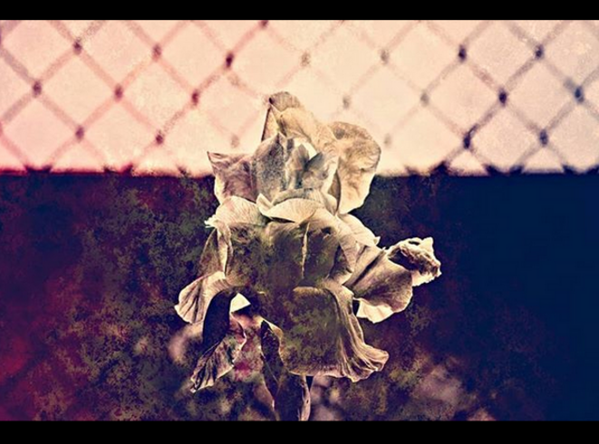 Confinement © Luna TMG Instagram Confinement © Luna TMG Instagram