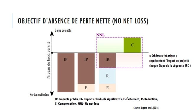 compensées pas cher