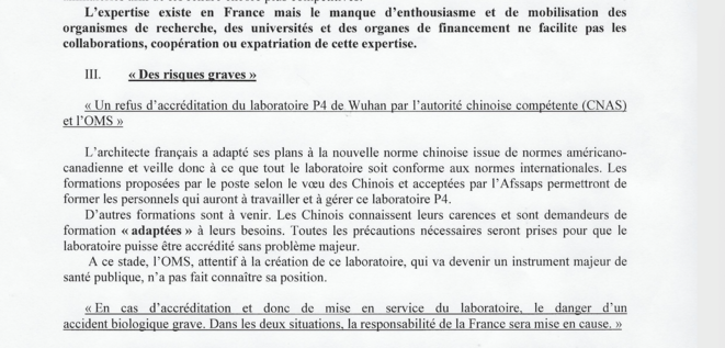 Le résumé des griefs d'Alain Mérieux qui mentionne les "risques graves" sur la note de synthèse du Ministère des affaires étrangères. © DR