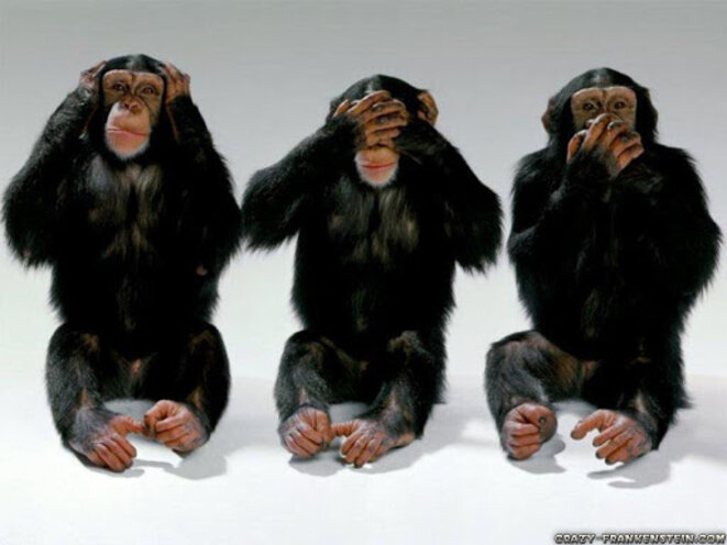 3monkeys2