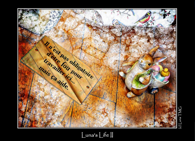 Luna's Lifz II © Luna TMG Flickr Luna's Lifz II © Luna TMG Flickr