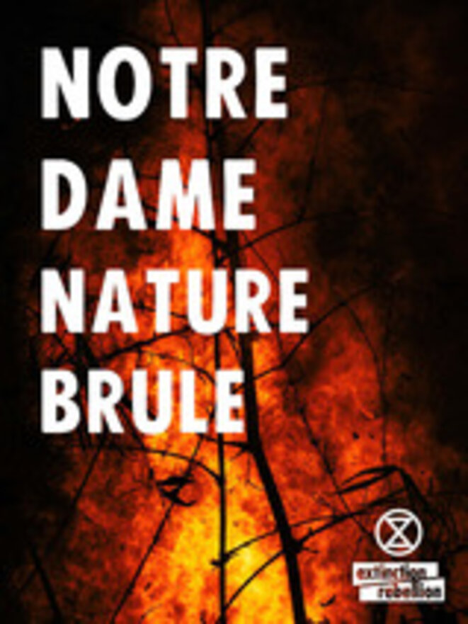 notre-dame-nature-brule-affiche-xr