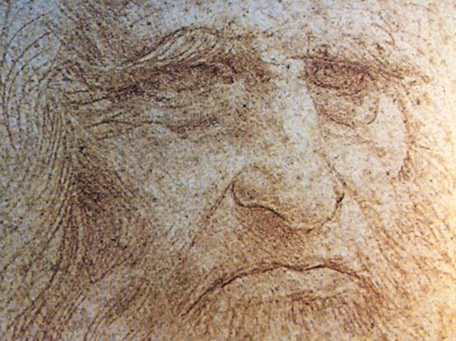 Leonard De Vinci Etait Il Homo