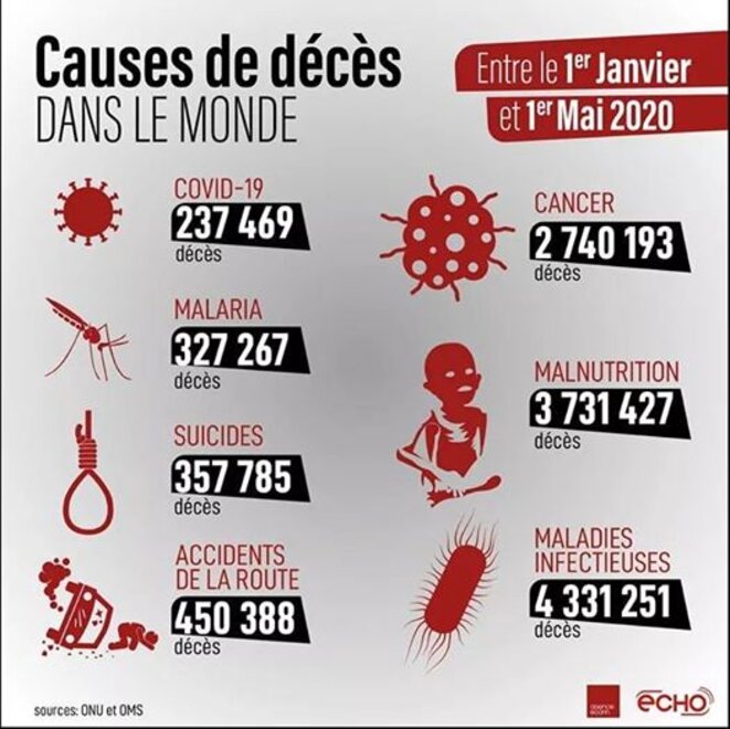 Les principales causes de mortalité dans le monde en 2020 © ECHO Les principales causes de mortalité dans le monde en 2020 © ECHO