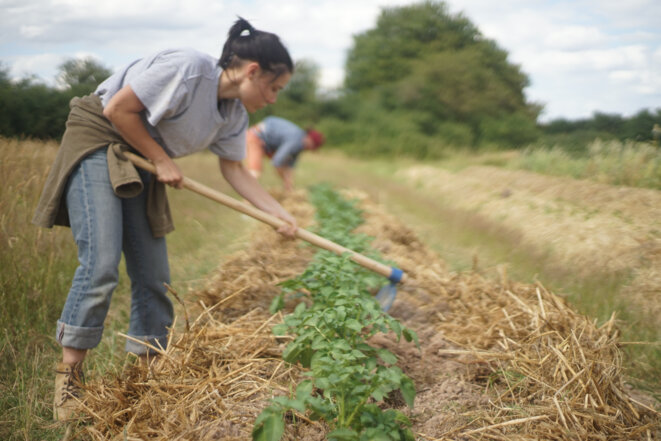 Autour d’Angers, l’autoproduction alimentaire pour «se réapproprier les choses essentielles» raareangers 4 - Autour d’Angers, l’autoproduction alimentaire pour «se réapproprier les choses essentielles»