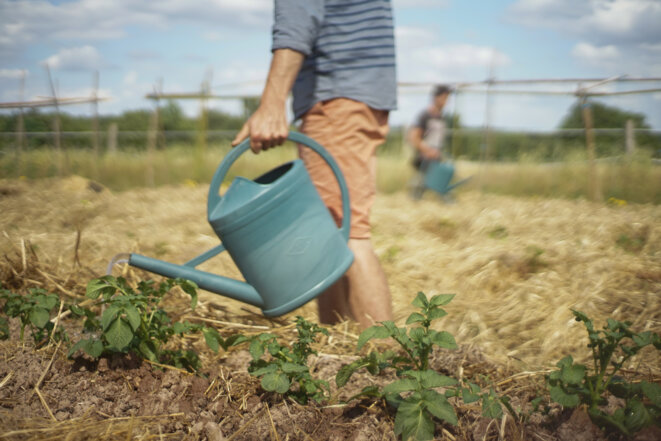 Autour d’Angers, l’autoproduction alimentaire pour «se réapproprier les choses essentielles» raareangers 5 - Autour d’Angers, l’autoproduction alimentaire pour «se réapproprier les choses essentielles»