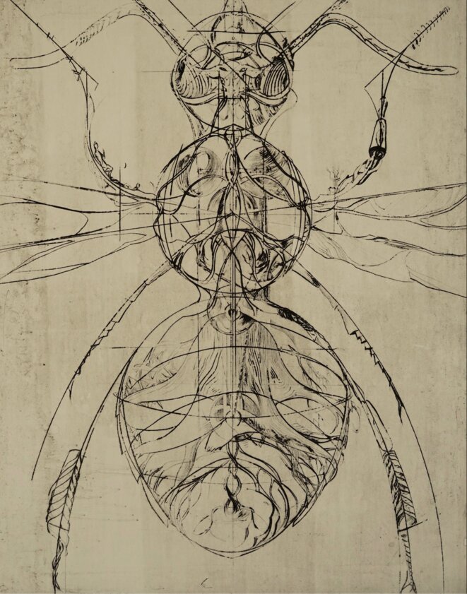 Charley Case, L’Abelium almanach, 2020, gravure sur bois, 120 x 80 cm Charley Case, L’Abelium almanach, 2020, gravure sur bois, 120 x 80 cm