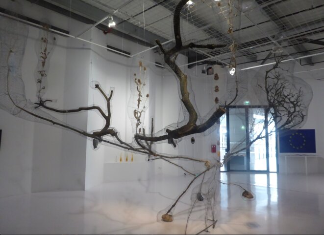 Jean-Luc Favero, Abeille vision, 2020 sculpture environnementale. Matériaux divers : grillage, squelette de chevreuil, herbes, plantes, pierres semi précieuses, 700 x 350 cm. (Photo Pascal Pique) Jean-Luc Favero, Abeille vision, 2020 sculpture environnementale. Matériaux divers : grillage, squelette de chevreuil, herbes, plantes, pierres semi précieuses, 700 x 350 cm. (Photo Pascal Pique)