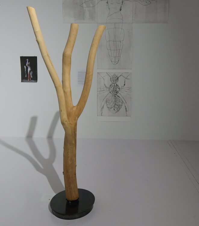 Erik Samakh, Essaim n°1, Tronc d’arbre (frêne), système sonore, 2018 (Photo Luc Jennepin) Erik Samakh, Essaim n°1, Tronc d’arbre (frêne), système sonore, 2018 (Photo Luc Jennepin)