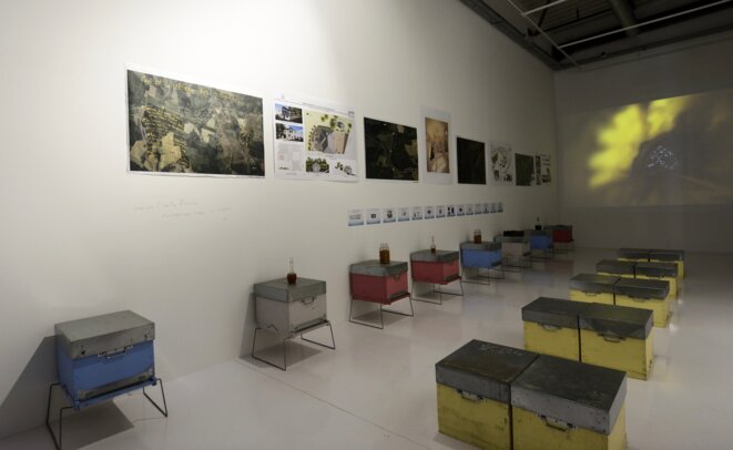 L’Abeille Blanche, salle des projets, préfiguration du centre d’art des abeilles à Maubourguet L’Abeille Blanche, salle des projets, préfiguration du centre d’art des abeilles à Maubourguet