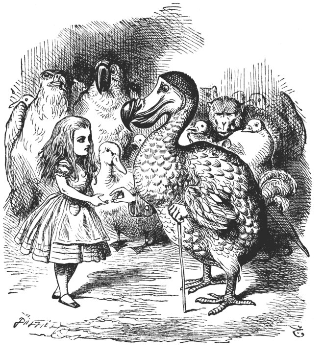 Alice avec un DODO (espèce disparue) © John Tenniel Alice avec un DODO (espèce disparue) © John Tenniel