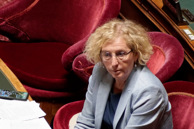 Muriel Pénicaud, ministre du travail, le 17 juin au Sénat. © Daniel Pier / NurPhoto / NurPhoto via AFP Muriel Pénicaud, ministre du travail, le 17 juin au Sénat. © Daniel Pier / NurPhoto / NurPhoto via AFP