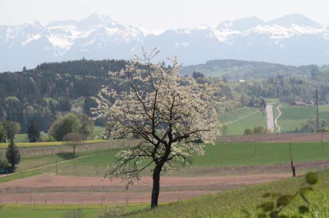La route de Berne à droite de l'image pour relier l'agglomération lausannoise depuis Moudon et ses alentours. Combien d'heures et de fatigue sont-elles accumulées pour aller travailler, alors que vivent sous nos pieds des lieux qui demandent à être connus et soignés ? Cette question ne se limite bien sûr pas à la campagne. La route de Berne à droite de l'image pour relier l'agglomération lausannoise depuis Moudon et ses alentours. Combien d'heures et de fatigue sont-elles accumulées pour aller travailler, alors que vivent sous nos pieds des lieux qui demandent à être connus et soignés ? Cette question ne se limite bien sûr pas à la campagne.