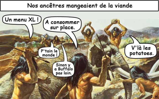 © Jérôme Henriques © Jérôme Henriques