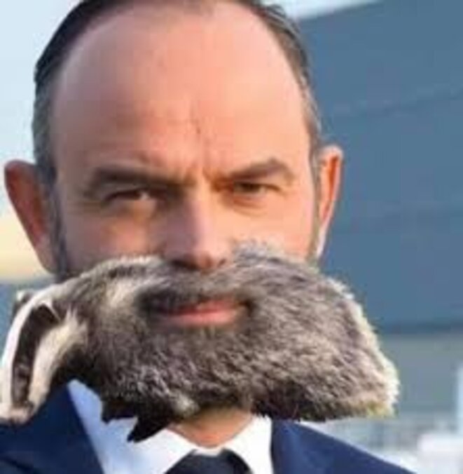 philippe-blaireau-v