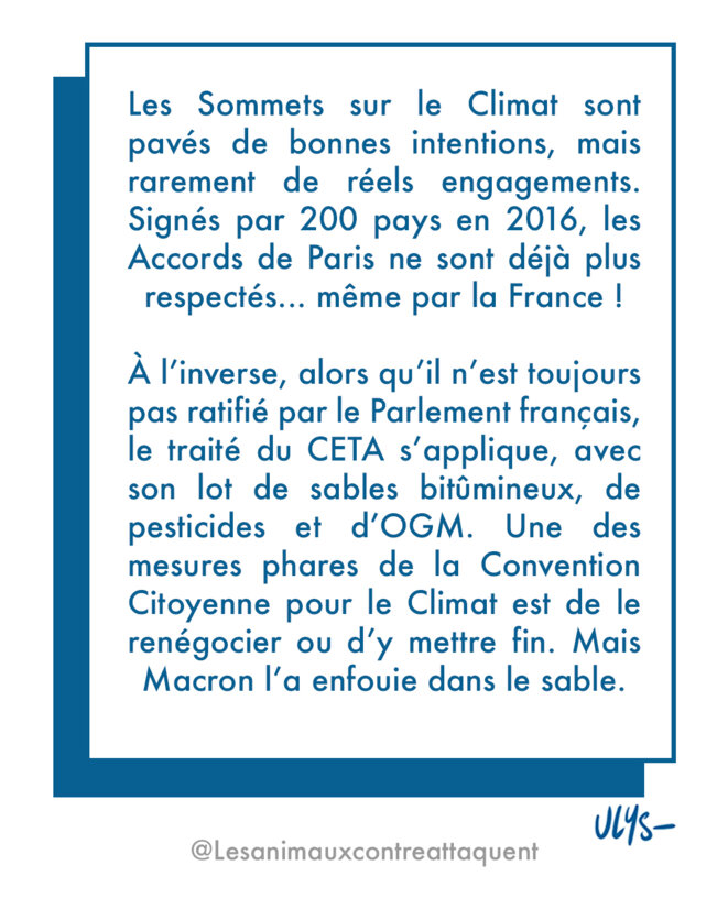 Les animaux contre-attaquent (2/8). La politique de l’autruche autruchesinfos-1080x1350
