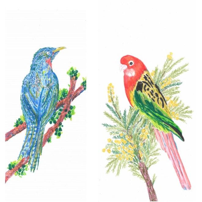 Chourouk Hriech, Les oiseaux dans ma tête #2 et #12, 2020 Aquarelle et crayon de couleur sur papier, 29,7 x 12,7 cm chaque. © Chourouk Hreich, Courtesy galerie Anne-Sarah Bénichou Chourouk Hriech, Les oiseaux dans ma tête #2 et #12, 2020 Aquarelle et crayon de couleur sur papier, 29,7 x 12,7 cm chaque. © Chourouk Hreich, Courtesy galerie Anne-Sarah Bénichou