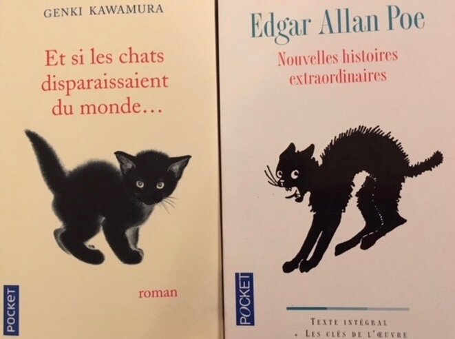 chat-poe