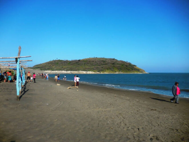 un virus exterminateur