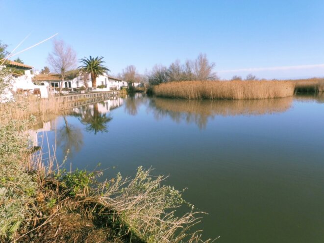 Sur les bords de mer